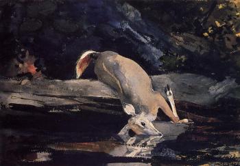 Winslow Homer : Fallen Deer